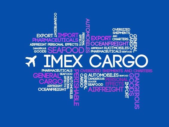 ImEx Cargo Logo